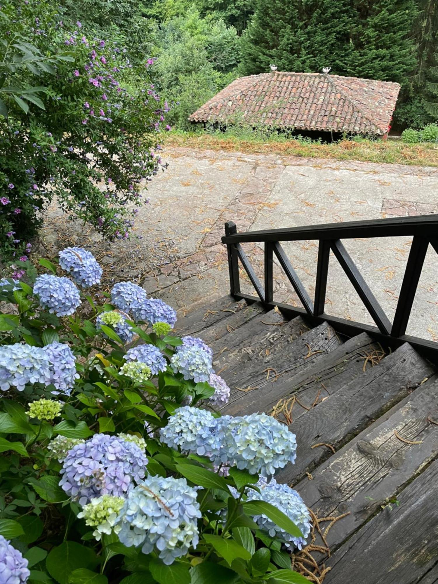 Appartement En Redes 4 *